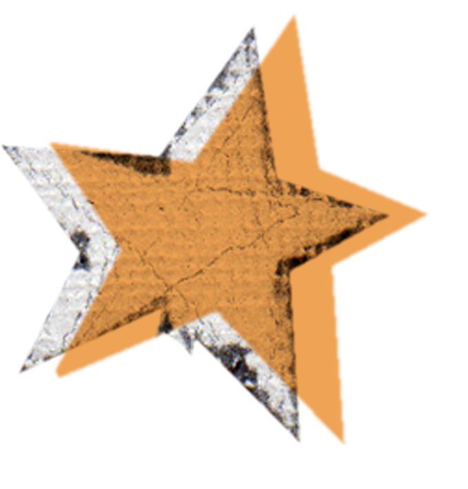 https://www.litkid.ge/img/star.png