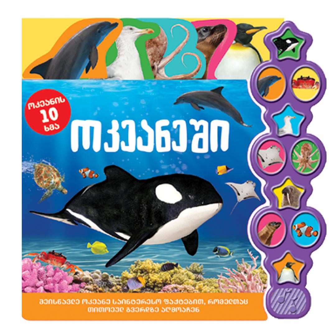 https://www.litkid.ge/img/product/2222_1711030077.jpg